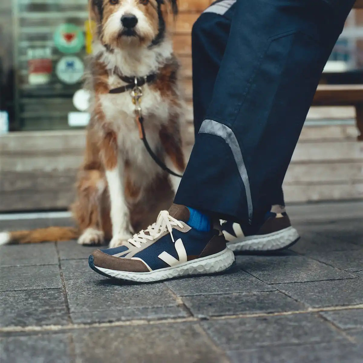 CONDOR ROYALE ALVEOMESH BLACK CASHEW EAGLE